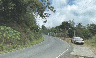 TERRENO/ ARRAIJAN / BIQUE / 3 HECTAREAS