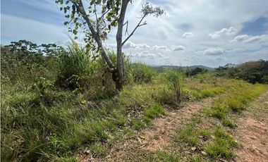 TERRENO / ARRAIJAN / BIQUE / 3 HECTAREAS / POZO DE AGUA