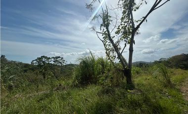 TERRENO / ARRAIJAN / BIQUE / 3 HECTAREAS / POZO DE AGUA