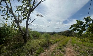 TERRENO / ARRAIJAN / BIQUE / 3 HECTAREAS / POZO DE AGUA