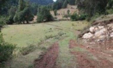 Parcela en Venta en Parcela 13.000 mt Panguipulli sin comisión corretaje