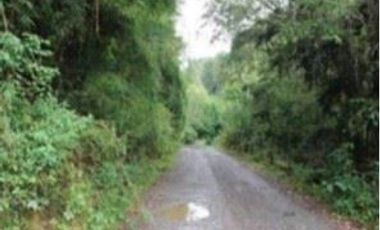Parcela en Venta en Parcela 13.000 mt Panguipulli sin comisión corretaje