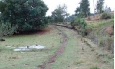 Parcela en Venta en Parcela 13.000 mt Panguipulli sin comisión corretaje