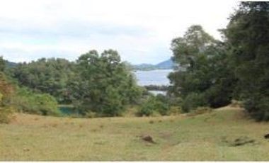 Parcela en Venta en Parcela 13.000 mt Panguipulli sin comisión corretaje