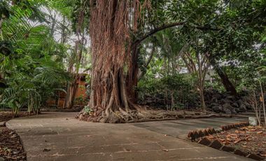 Casa Sola en Pedregal de las Fuentes Jiutepec - M2AI-688-Cs