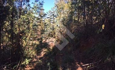 Sitio en Venta en Las Mecedes 35, Camino La Pólvora