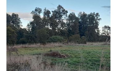 Hermosas parcelas Trafun