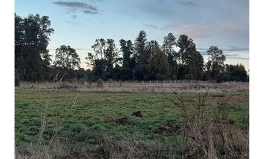 Hermosas parcelas Trafun