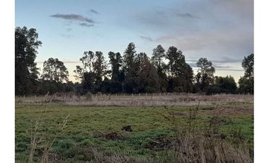 Hermosas parcelas Trafun