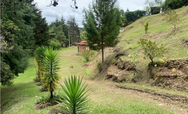 LOTE EN MAMPUESTO DE 2.494 M2 CON LICENCIA DE CONSTRUCCIÒN