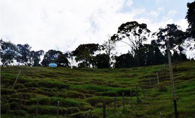 Lote en venta sector Eafit Llanogrande Rionegro. En parcelación