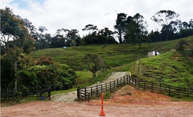 Lote en venta sector Eafit Llanogrande Rionegro. En parcelación