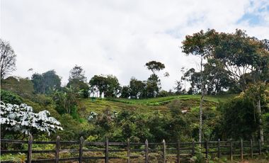 Lote en venta sector Eafit Llanogrande Rionegro. En parcelación