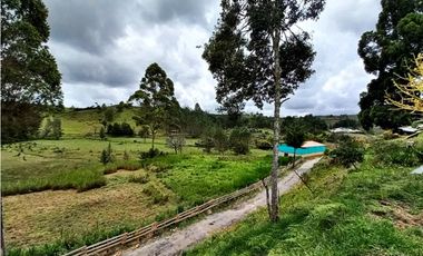 Finca agropecuaria de 6,4 ha con cultivo de aguacate en venta