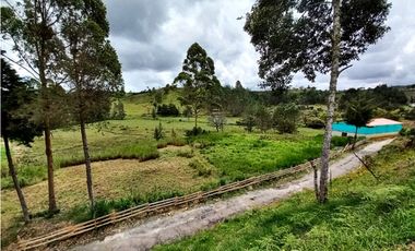 Finca agropecuaria de 6,4 ha con cultivo de aguacate en venta