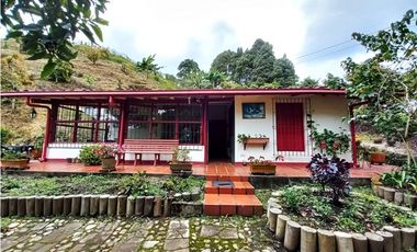 Finca agropecuaria de 6,4 ha con cultivo de aguacate en venta