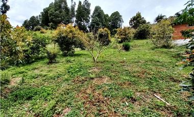 Finca agropecuaria de 6,4 ha con cultivo de aguacate en venta