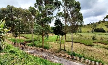 Finca agropecuaria de 6,4 ha con cultivo de aguacate en venta