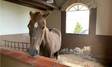 HERMOSA FINCA UBICADA EN EL ORIENTE DE 9.000 M2