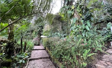 HERMOSA FINCA UBICADA EN EL ORIENTE DE 9.000 M2