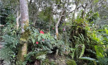 HERMOSA FINCA UBICADA EN EL ORIENTE DE 9.000 M2