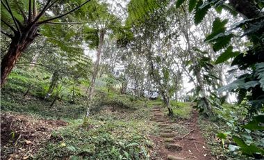 HERMOSA FINCA UBICADA EN EL ORIENTE DE 9.000 M2