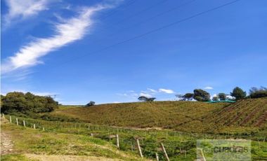 Finca en Venta en Buenavista La Unión con 3 Nacimientos de Agua