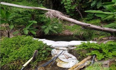 Finca en Venta en Buenavista La Unión con 3 Nacimientos de Agua