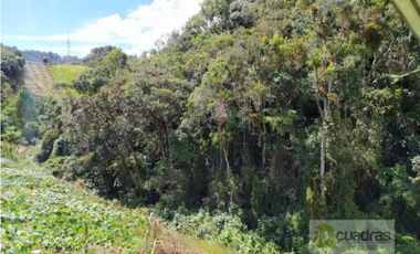 Finca en Venta en Buenavista La Unión con 3 Nacimientos de Agua