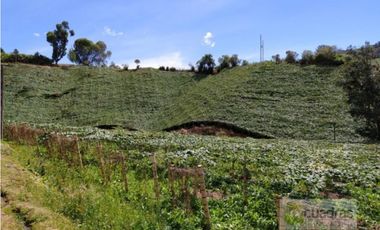 Finca en Venta en Buenavista La Unión con 3 Nacimientos de Agua