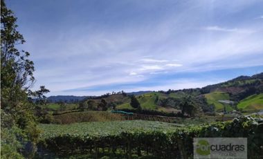 Finca en Venta en Buenavista La Unión con 3 Nacimientos de Agua