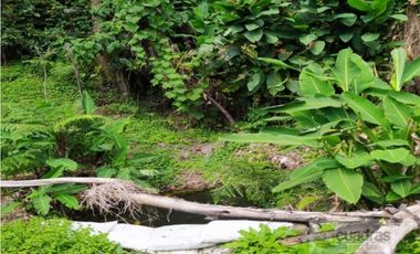 Finca en Venta en Buenavista La Unión con 3 Nacimientos de Agua