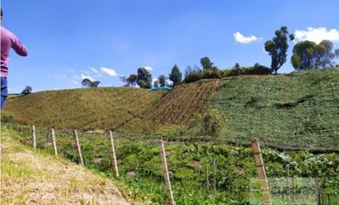 Finca en Venta en Buenavista La Unión con 3 Nacimientos de Agua