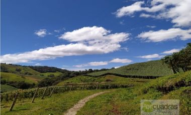 Finca en Venta en Buenavista La Unión con 3 Nacimientos de Agua