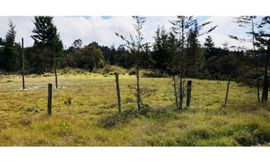 VENTA LOTE CON 47.600 M2 BORDE DE VIA PRINCIPAL