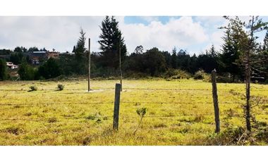VENTA LOTE CON 47.600 M2 BORDE DE VIA PRINCIPAL