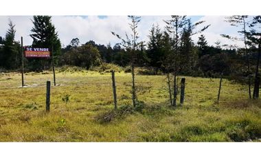 VENTA LOTE CON 47.600 M2 BORDE DE VIA PRINCIPAL