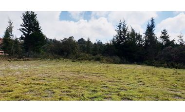 VENTA LOTE CON 47.600 M2 BORDE DE VIA PRINCIPAL