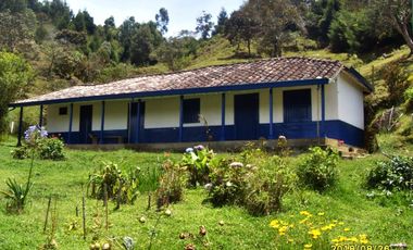 LOTE DE 19.575M2 EN GUARNE CON 60M2 CONSTRUUIDOS