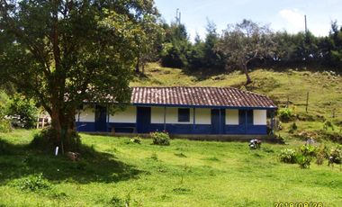 LOTE DE 19.575M2 EN GUARNE CON 60M2 CONSTRUUIDOS