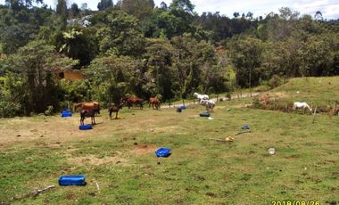 LOTE DE 19.575M2 EN GUARNE CON 60M2 CONSTRUUIDOS