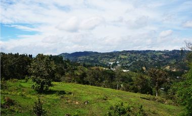 LOTE EN GUARNE DE 24.095 M2