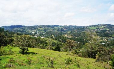 LOTE EN GUARNE DE 24.095 M2