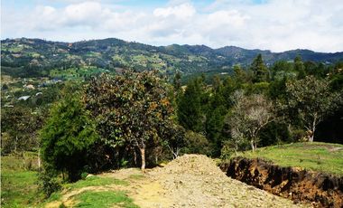 LOTE EN GUARNE DE 24.095 M2