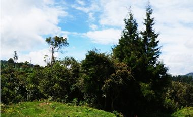 LOTE EN GUARNE DE 24.095 M2