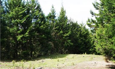 LOTE EN GUARNE DE 24.095 M2