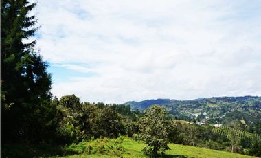 LOTE EN GUARNE DE 24.095 M2