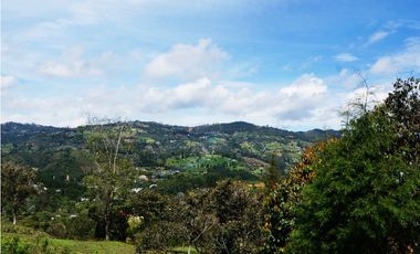 LOTE EN GUARNE DE 24.095 M2