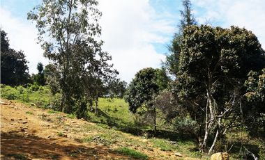 LOTE EN GUARNE DE 24.095 M2