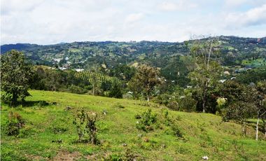 LOTE EN GUARNE DE 24.095 M2